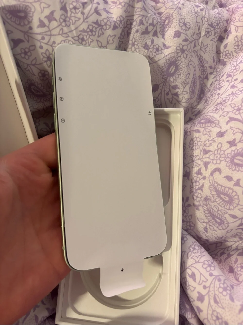 Apple iPhone 12 in Mint Green